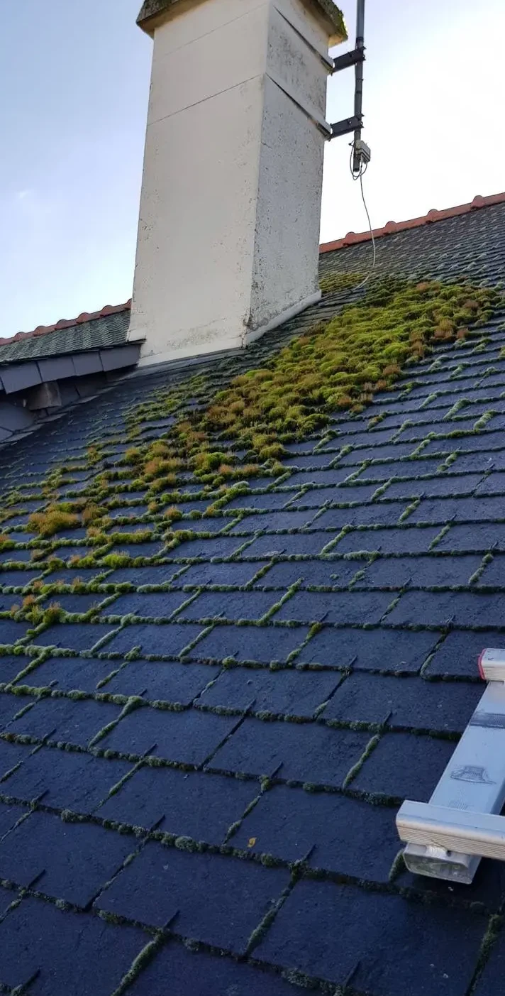 Nettoyage toiture Rennes avec traitement hydrofuge et anti mousse